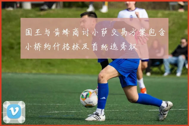 国王与黄蜂商讨小萨交易方案包含小桥约什格林及首轮选秀权